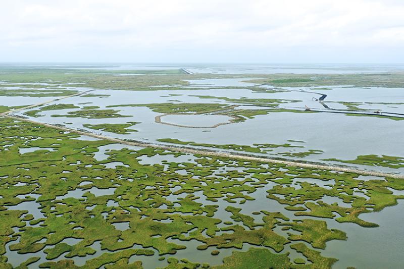 Long Point Bayou marsh