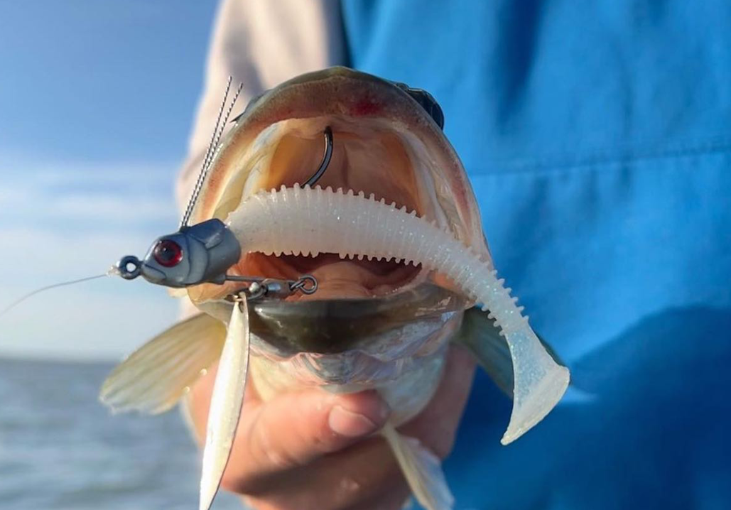Epic Baits Underspin Offers Offshore Versatility - Fish Insider