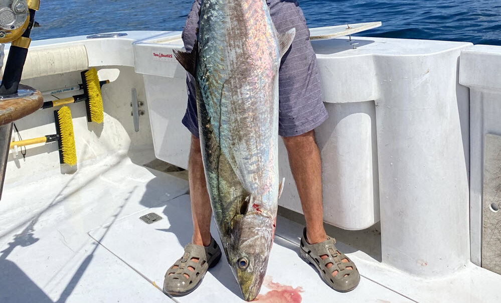 Dominic Vricella and his New Jersey state record king mackerel