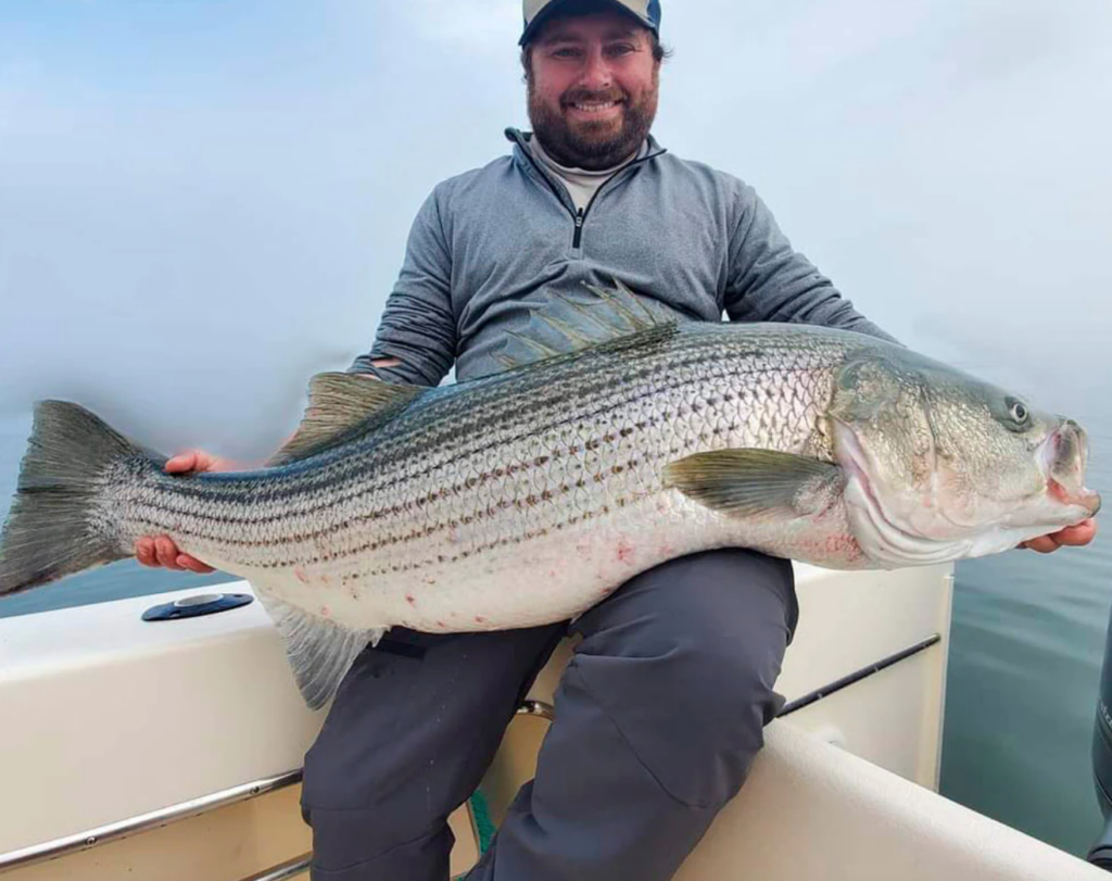 northeast striper fishing